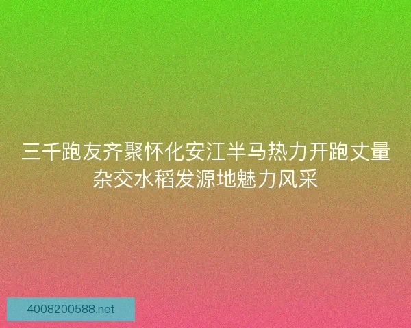 三千跑友齐聚怀化安江半马热力开跑丈量杂交水稻发源地魅力风采
